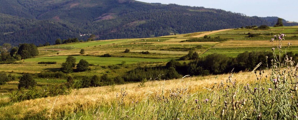 Letné koktaily s Proseccom Serena