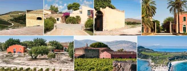 Alessio Planeta získal titul WINEMAKER OF THE YEAR