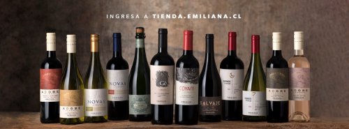 Emiliana žiarila na medzinárodnej súťaži Wine & Spirit