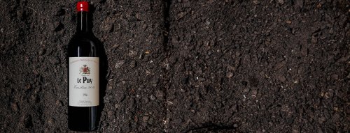 7. november - oslava odrody Merlot