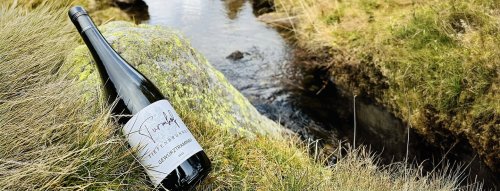 Jedno z najstarších vinárstiev v Alto Adige –Tiefenbrunner