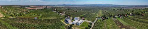 Winery header