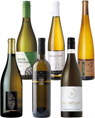 Balíček TOP Sauvignony