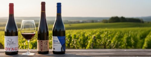 5. 2. - Degustácia Papillon PN Viničky3 