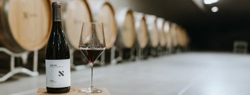 Nový ročník u Nichtu