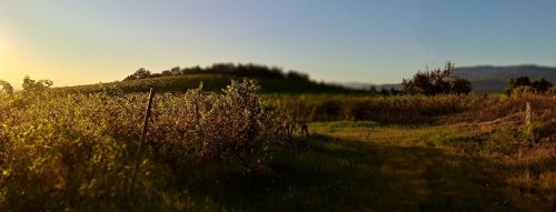 5. 2. - Degustácia PN Viničky3 