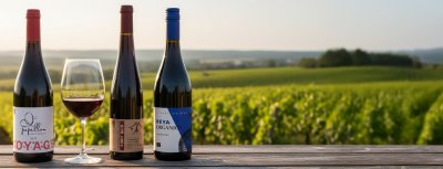 5. 2. - Degustácia PN Viničky3 